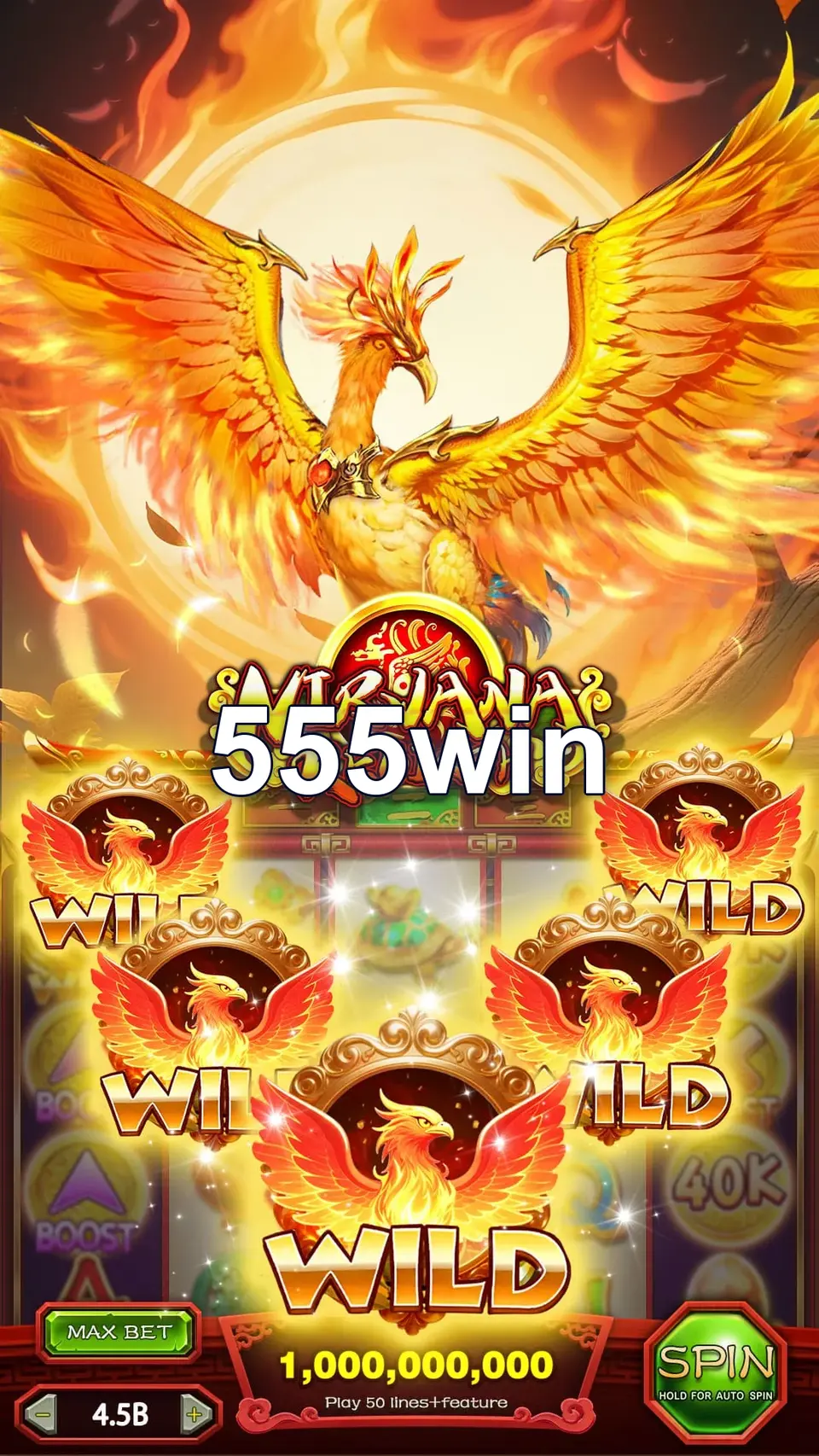 555win Login